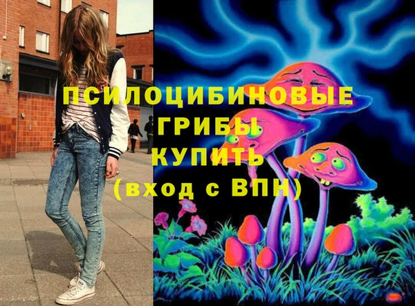 СК Алексин