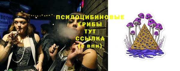 крисы Алексеевка